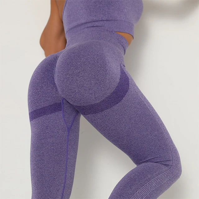 Seamless Scrunch Leggings